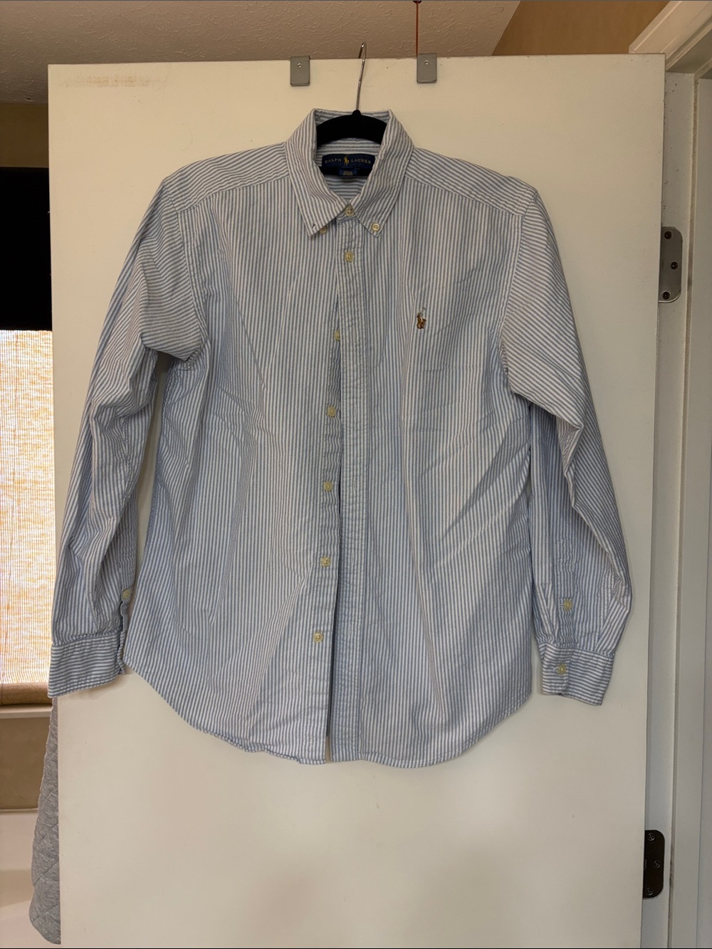 Polo by Ralph Lauren Light Blue and White Stripe Men's Button-Down Shirt